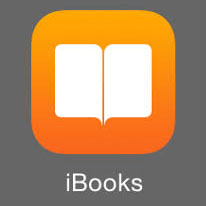 i books logo